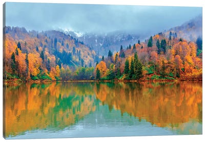 Beauty Of Autumn Canvas Art Print - Nejdet Duzen