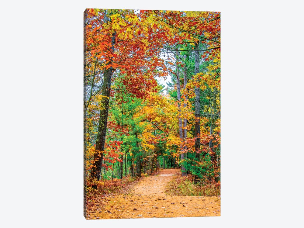 Road To Forest 1-piece Art Print