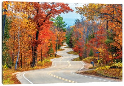 Winding Road Canvas Art Print - Autumn & Thanksgiving