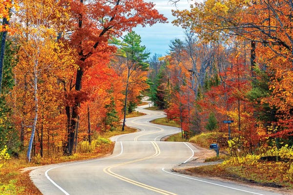 Trails, Paths & Roads: Winding Road by Nejdet Duzen