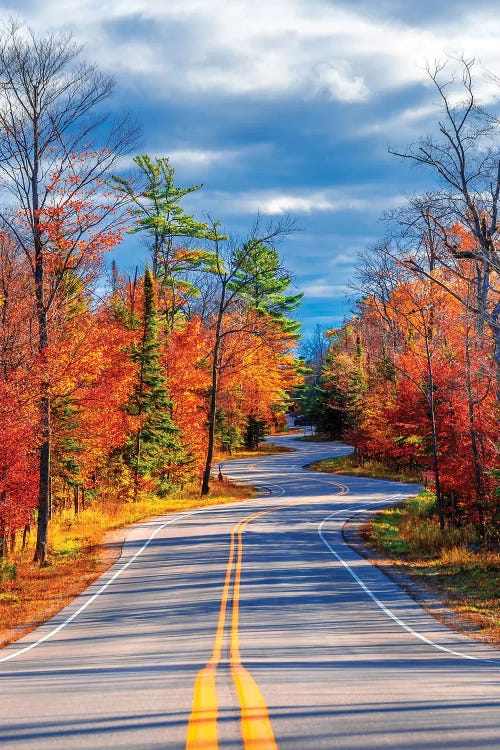 Curve Road by Nejdet Duzen wall art
