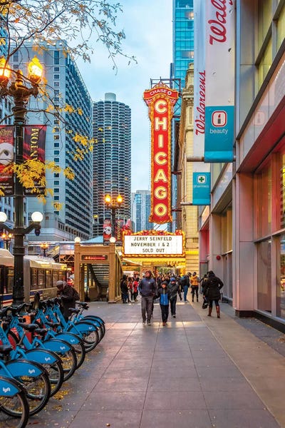 Illinois: Chicago Theatre by Nejdet Duzen