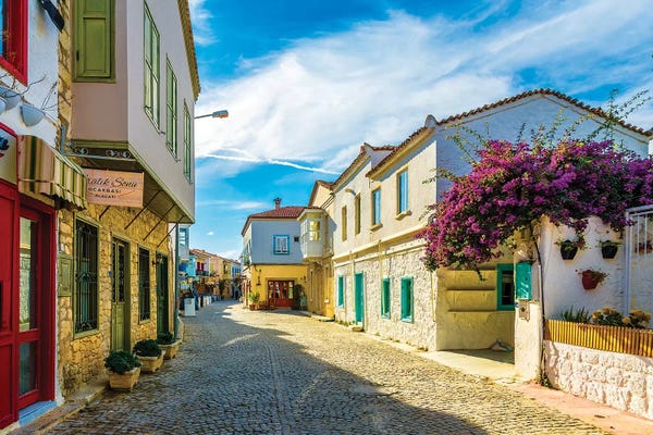 Bougainvillea: Alacati,Turkey X by Nejdet Duzen