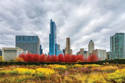 Autumn And Chicago Skyline by Nejdet Duzen gallery poster