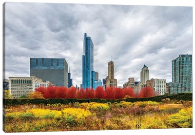 Autumn And Chicago Skyline Canvas Art Print - Chicago Skylines