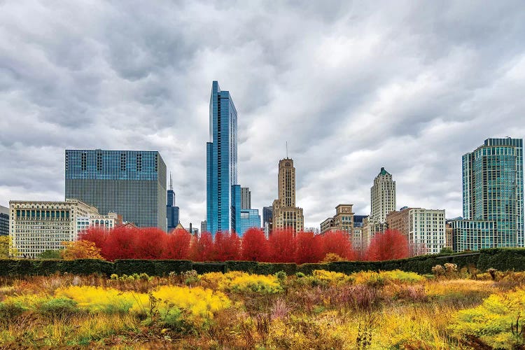 Autumn And Chicago Skyline