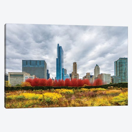 Autumn And Chicago Skyline Canvas Print #NEJ171} by Nejdet Duzen Canvas Art Print