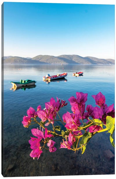 Akyaka,Turkey I Canvas Art Print - Bougainvillea