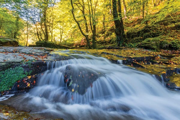 Waterfalls: Waterfall IV by Nejdet Duzen