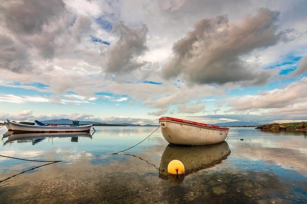 Reflection Of Beauty