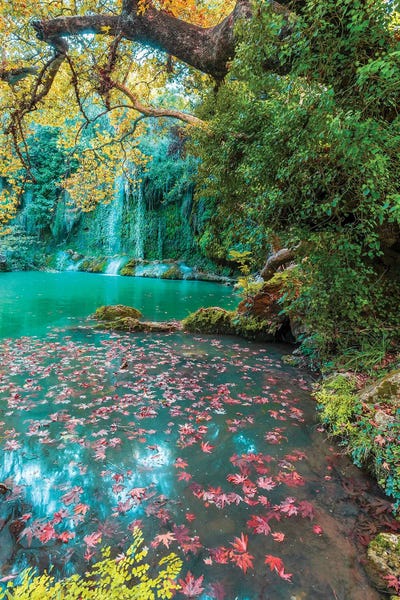 Waterfalls: Autumn At Waterfall I by Nejdet Duzen