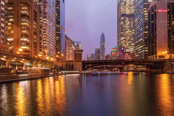 Fine Art Print: Chicago City II by Nejdet Duzen