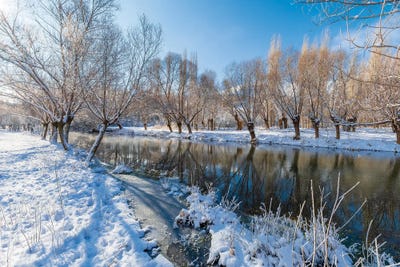 Snow II by Nejdet Duzen multi panel art