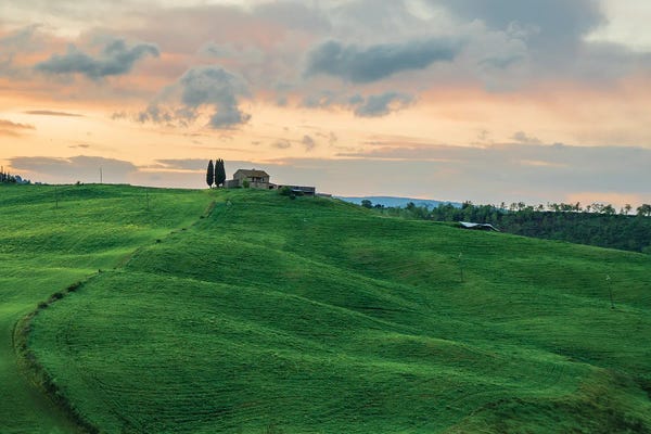 Nejdet Duzen: Tuscany Landscape II by Nejdet Duzen