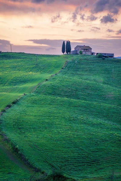 Nejdet Duzen: Tuscany Landscape III by Nejdet Duzen