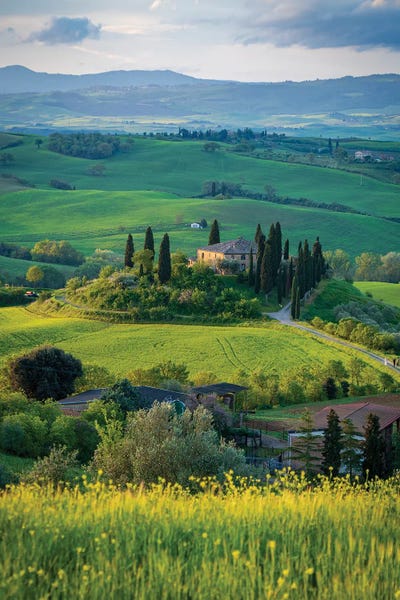 Nejdet Duzen: Tuscany Landscape IV by Nejdet Duzen