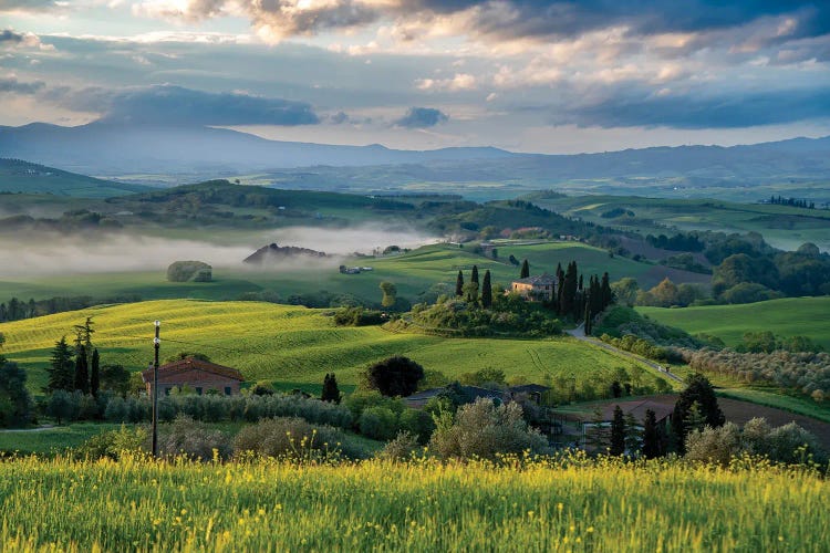 Tuscany Landscape V