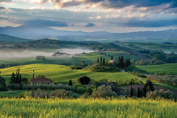 Country: Tuscany Landscape V by Nejdet Duzen