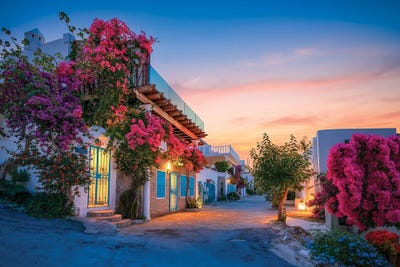 Black & Dark Art - Canvas Prints: Mediterranean Houses by Nejdet Duzen