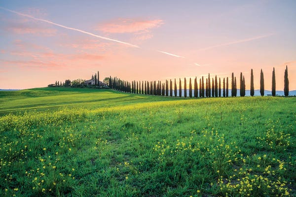 Nejdet Duzen: Tuscany Farmland by Nejdet Duzen