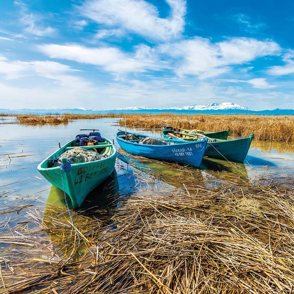 Canoes: Beysehir Lake, Turkey II by Nejdet Duzen
