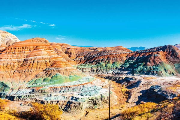 Bird of paradise Ankara,Turkey III