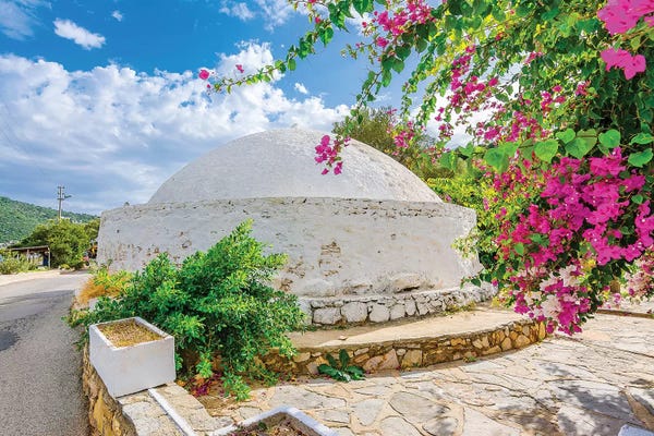 Bougainvillea: Bodrum,Turkey I by Nejdet Duzen