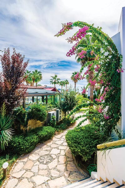 Bougainvillea: Bodrum,Turkey IV by Nejdet Duzen