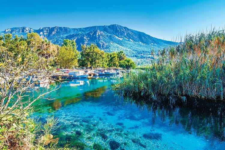 Akyaka,Turkey V by Nejdet Duzen wall art