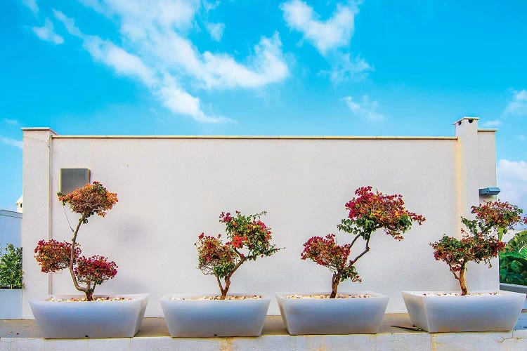 Bodrum,Turkey VIII by Nejdet Duzen wall art