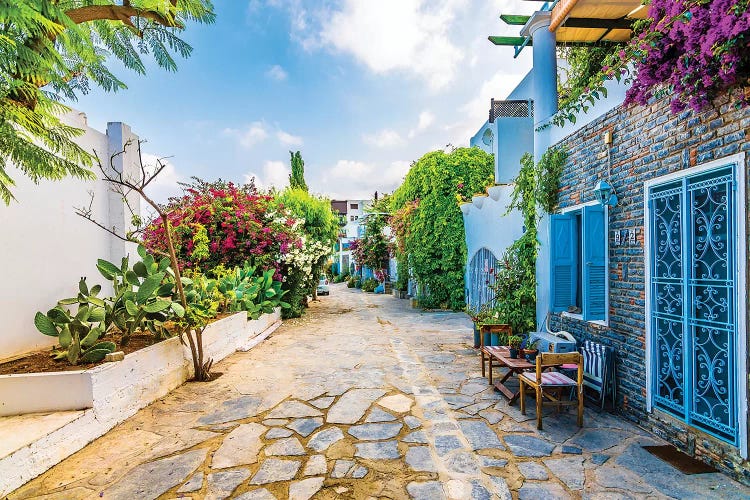 Bodrum,Turkey X by Nejdet Duzen wall art