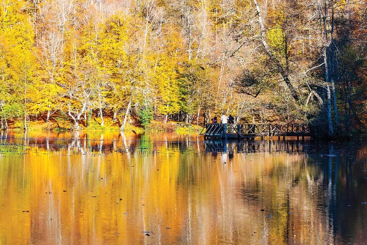 Seven Lakes Bolu,Turkey V by Nejdet Duzen wall art