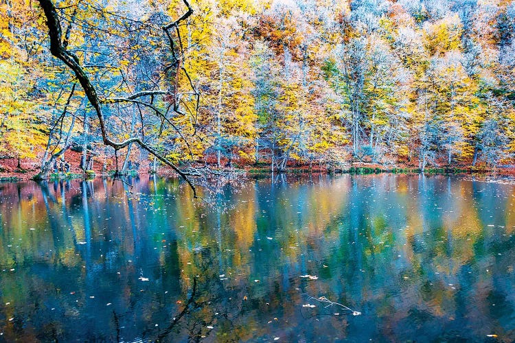Seven Lakes Bolu,Turkey VII by Nejdet Duzen wall art