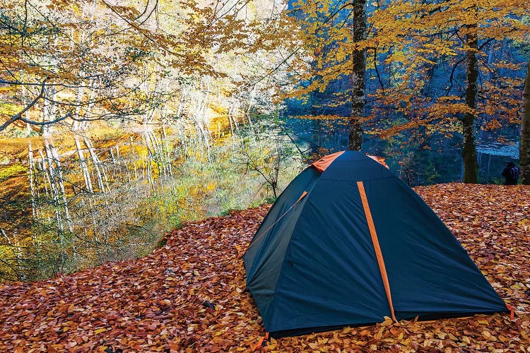 Seven Lakes Bolu,Turkey VIII by Nejdet Duzen wall art