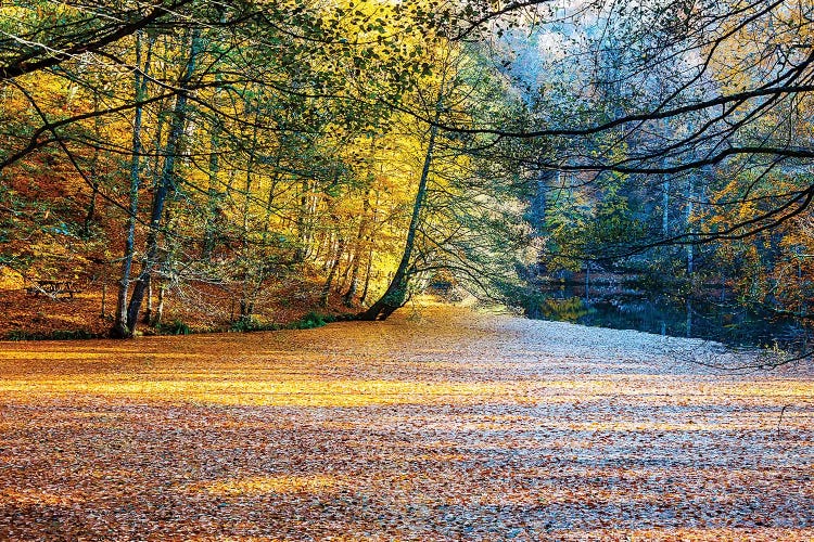 Seven Lakes Bolu,Turkey IX