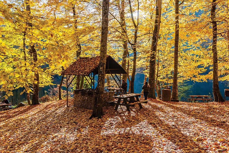 Seven Lakes Bolu,Turkey X