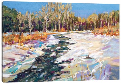 Icy Waters Canvas Art Print - Jennifer Gardner