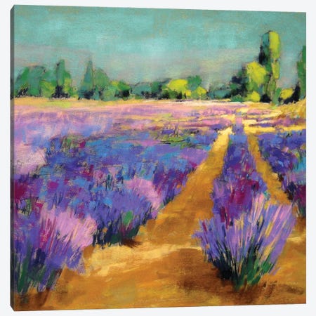 Lavender Morning Light Canvas Print #NER112} by Jennifer Gardner Art Print