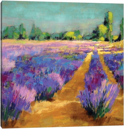 Lavender Morning Light Canvas Art Print - Jennifer Gardner