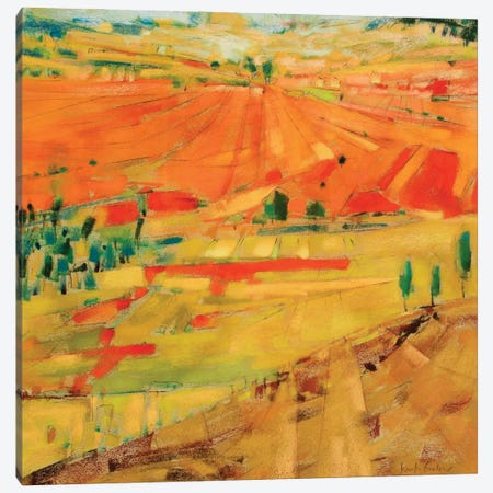 Patchwork Hills I Canvas Print #NER119} by Jennifer Gardner Art Print