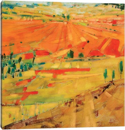 Patchwork Hills I Canvas Art Print - Jennifer Gardner
