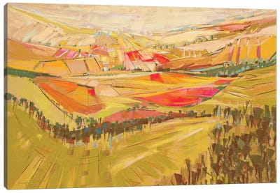 Patchwork Hills III Canvas Art Print - Jennifer Gardner