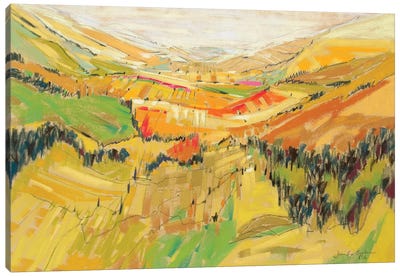 Patchwork Hills V Canvas Art Print - Jennifer Gardner