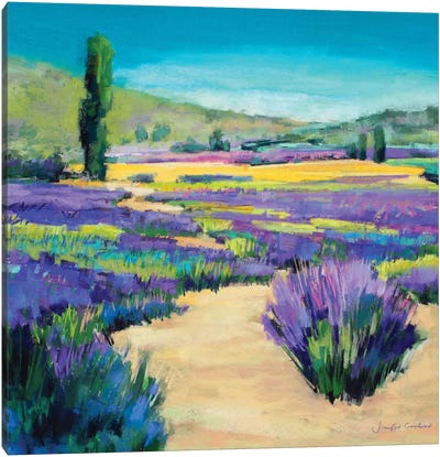 Path Through The Lavender Canvas Art Print - Lavender Art