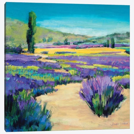 Path Through The Lavender Canvas Print #NER123} by Jennifer Gardner Canvas Wall Art