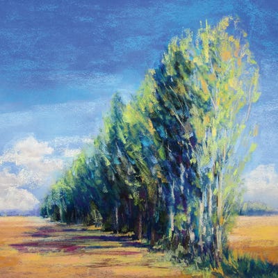 Poplars, France by Jennifer Gardner framed canvas print