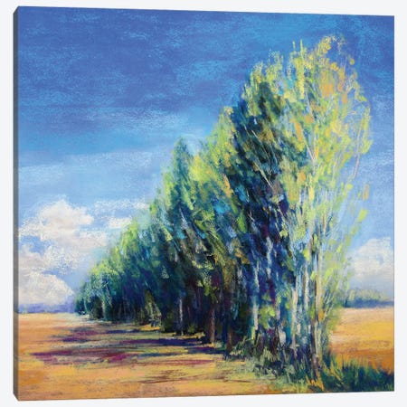 Poplars, France Canvas Print #NER124} by Jennifer Gardner Canvas Art Print