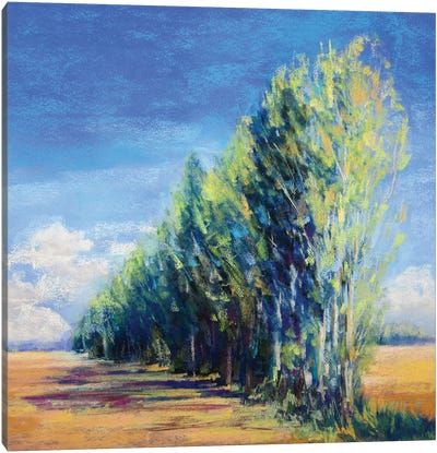 Poplars, France Canvas Art Print