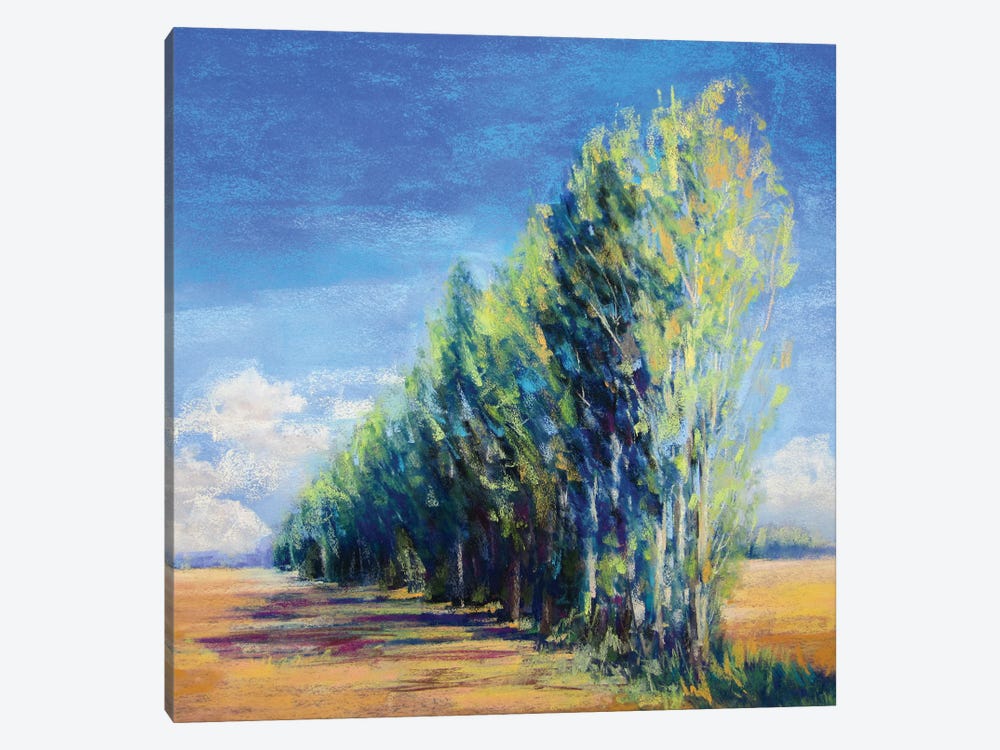 Poplars, France by Jennifer Gardner 1-piece Canvas Wall Art