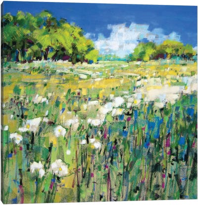 Texan Spring Canvas Art Print - Jennifer Gardner